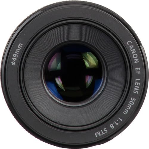 Canon EF 50mm f/1.8 STM Lens - Image 2